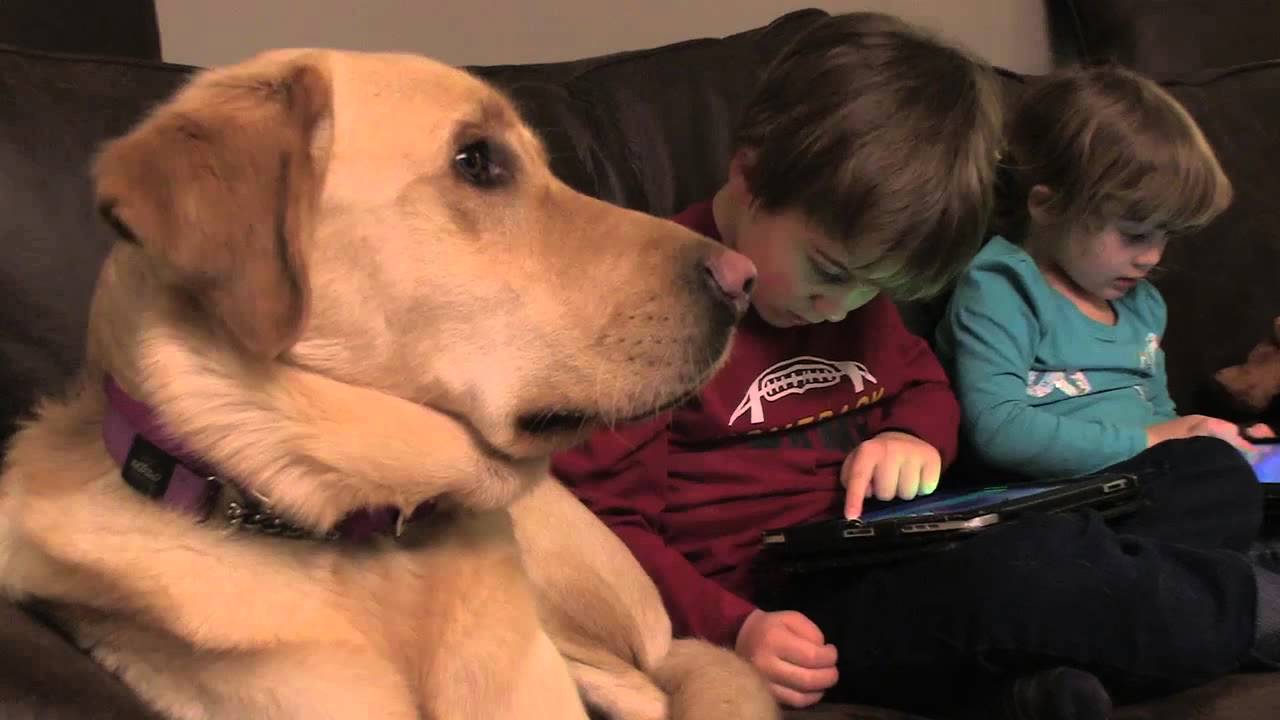 重拾幸福－－自閉症小男孩與他的狗狗
