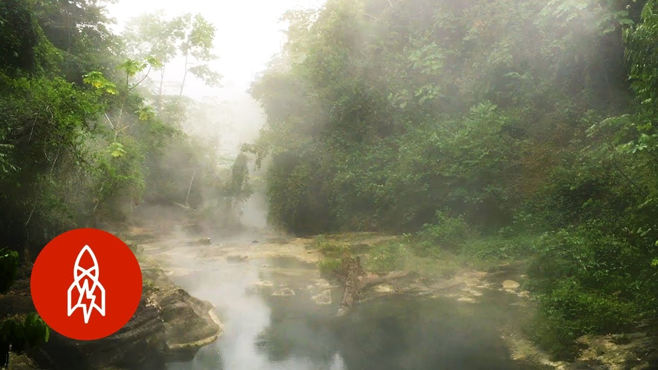 深入亞馬遜：叢林裡的沸騰之河